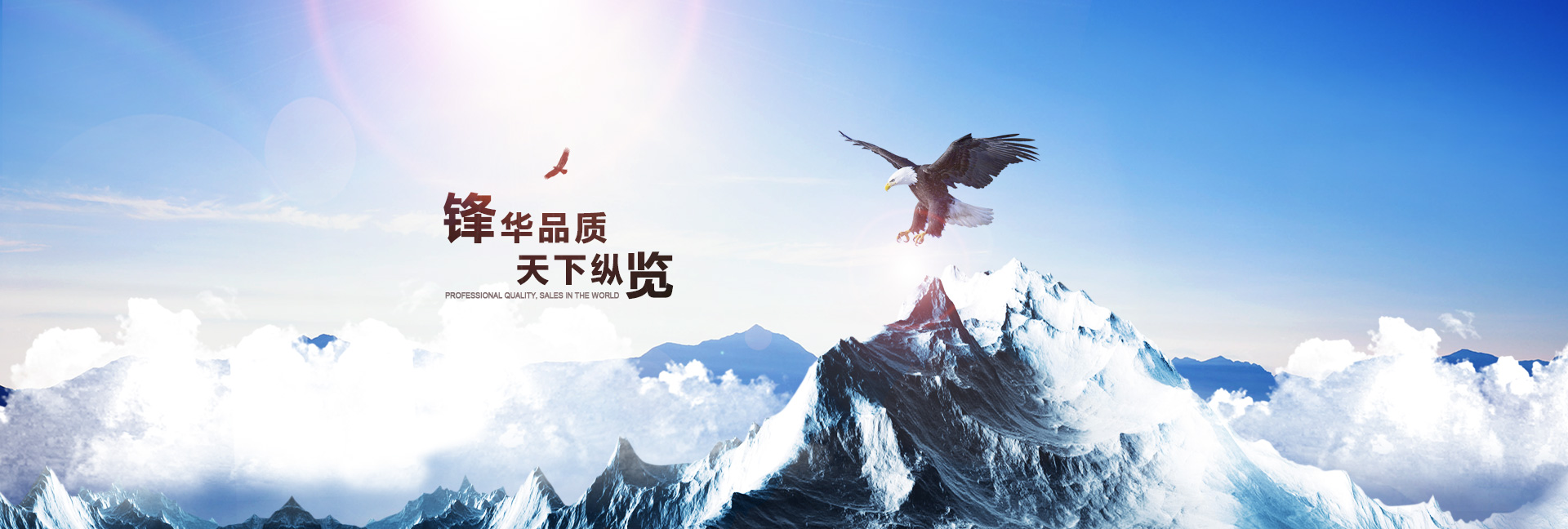 高中生學(xué)什么好