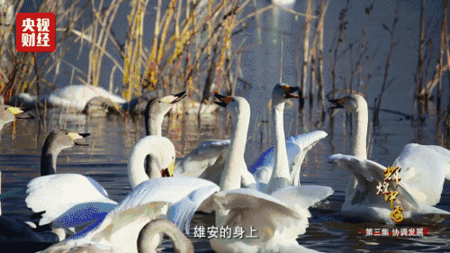 喜迎十九大，國力強盛人民歡慶
