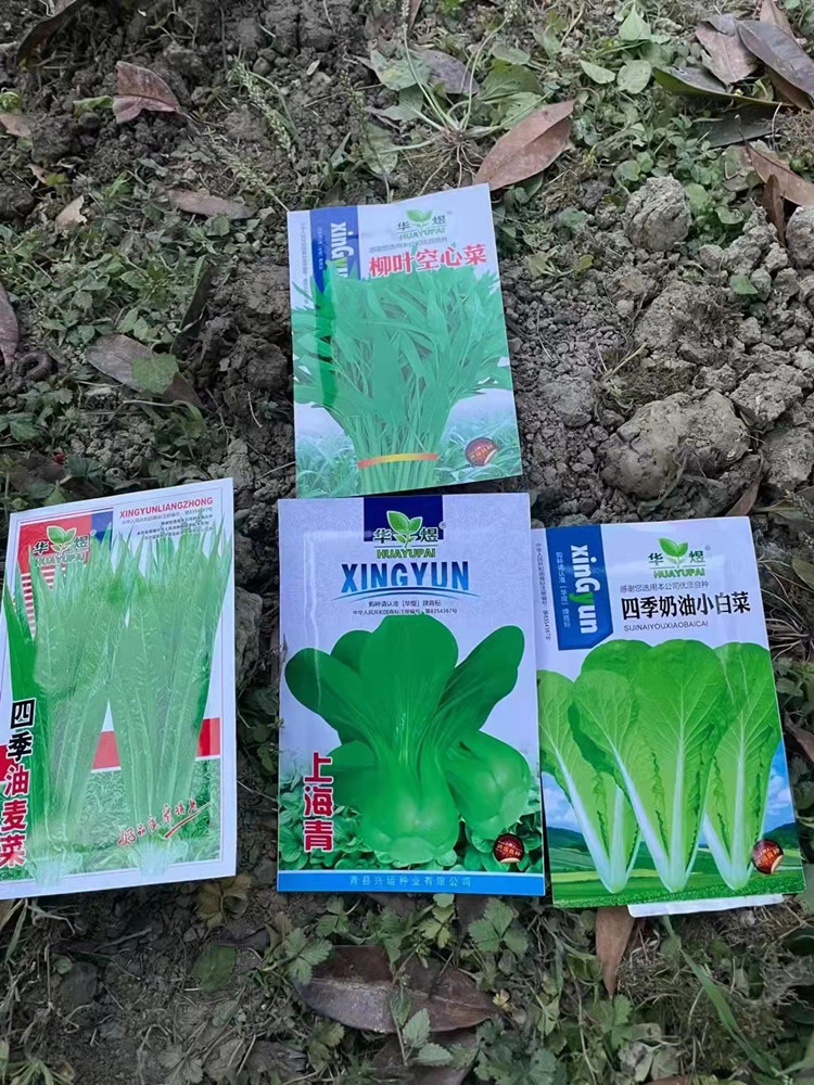 新季節(jié)新面貌|新華春季特色課程溫暖來(lái)襲