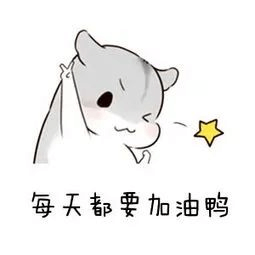 2024年成都新華秋季預(yù)科班火熱開(kāi)啟!