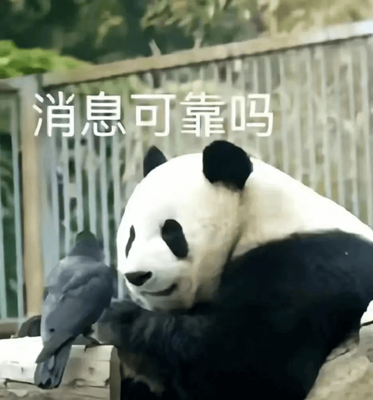 對口高考：升學(xué)壓力低，還可以沖本科